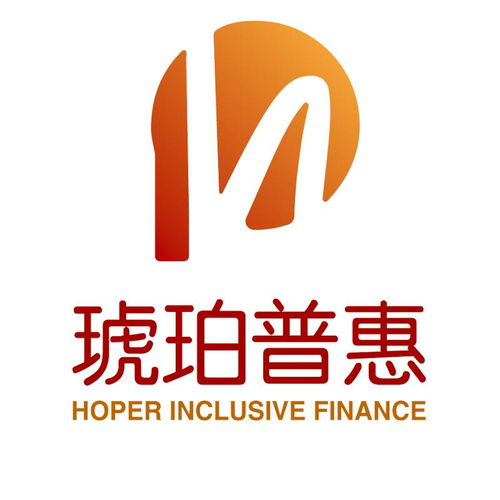 深圳琥珀普惠信息咨詢服務 專業引領，信息賦能